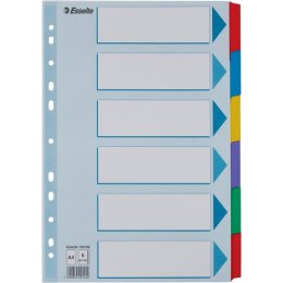 Przedkł.MYLAR A4/6 z kol.tabsa 100168