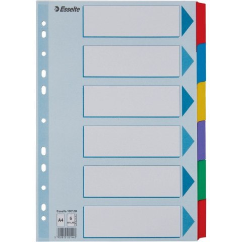 Przedkł.MYLAR A4/6 z kol.tabsa 100168 Przedkł.MYLAR A4/6 z kol.tabsa 100168