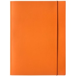 Teczka kartonowa z gumką A4 LIT pomarańczowa 400114424 BANTEX