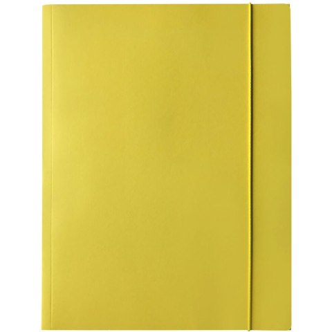 Teczka kartonowa z gumką A4 LIT żółta 400114423 BANTEX Teczka kartonowa z gumką A4 LIT żółta 400114423 BANTEX