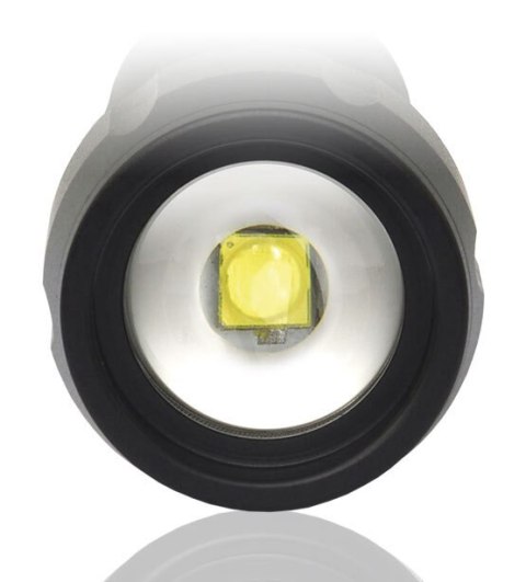 Latarka led EVERACTIVE FL-300+ czarna 350lm Latarka led EVERACTIVE FL-300+ czarna 350lm