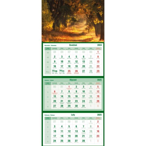Kalendarz trójdzielny NATURA T-105T-03 Michalczyk i Prokop Kalendarz trójdzielny NATURA T-105T-03 Michalczyk i Prokop