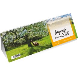 Terminarz IMPRESJE - ze spiralką T-095-2-1 Michalczyk i Prokop