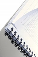 Kołonotatnik EXECUTIVE A4 PP kratka 44610000 LEITZ