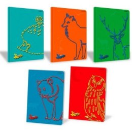 Zeszyt A5 16k 70g.3-linia kolorowa FAUNA 400113867 TOP