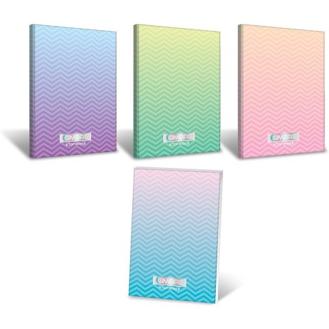 Brulion B5 160k kratka szyty OMBRE 400122233 TOP 2000 Brulion B5 160k kratka szyty OMBRE 400122233 TOP 2000