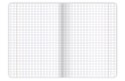 Zeszyt A5 32k kratka 70g FREE & WILD 400157910 TOP 2000