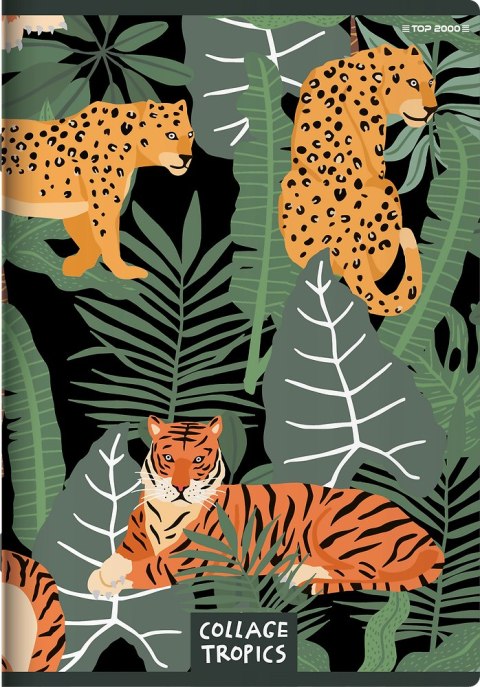 Zeszyt A5 60k kratka COLLAGE TROPICS 400157744 TOP 2000 Zeszyt A5 60k kratka COLLAGE TROPICS 400157744 TOP 2000