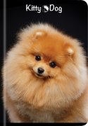 Zeszyt A5 60k kratka TOP KITTY&DOG 400135996 TOP 2000