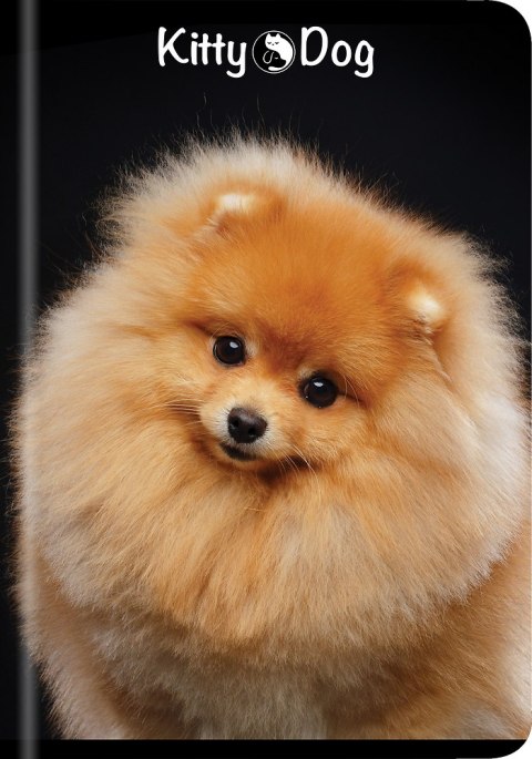 Zeszyt A5 60k kratka TOP KITTY&DOG 400135996 TOP 2000 Zeszyt A5 60k kratka TOP KITTY&DOG 400135996 TOP 2000