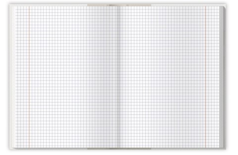 Brulion A4 192k kratka margines COLORS 400169206 TOP 2000 Brulion A4 192k kratka margines COLORS 400169206 TOP 2000