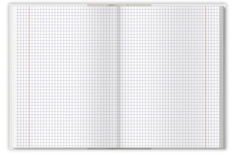 Brulion A5 96k kratka margines 70g GEO/PLANET 400169441 TOP 2000 Brulion A5 96k kratka margines 70g GEO/PLANET 400169441 TOP 2000