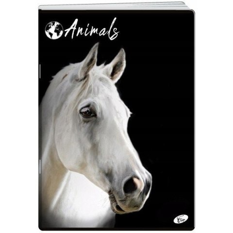 Zeszyt A4 60k kratka okładka miękka ANIMALS EL-M12-060-KA4 ELISA Zeszyt A4 60k kratka okładka miękka ANIMALS EL-M12-060-KA4 ELISA