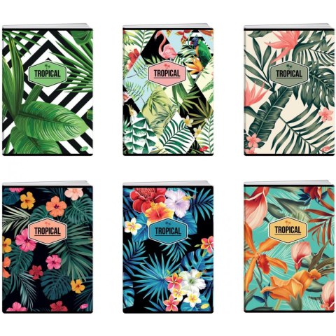 Zeszyt A4 60k w linię okładka miękka TROPICAL EL-M10-060-LA4 ELISA Zeszyt A4 60k w linię okładka miękka TROPICAL EL-M10-060-LA4 ELISA
