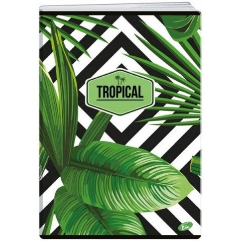 Zeszyt A4 80k linia okładka miękka TROPICAL EL-M10-080-LA4 ELISA Zeszyt A4 80k linia okładka miękka TROPICAL EL-M10-080-LA4 ELISA