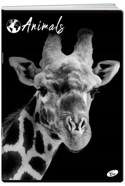 Zeszyt A5 60k linia okładka miękka ANIMALS EL-M12-060-LA5 ELISA Zeszyt A5 60k linia okładka miękka ANIMALS EL-M12-060-LA5 ELISA