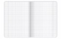 Zeszyt A5 96k kratka margines BIRDS EYE 400182452 TOP 2000