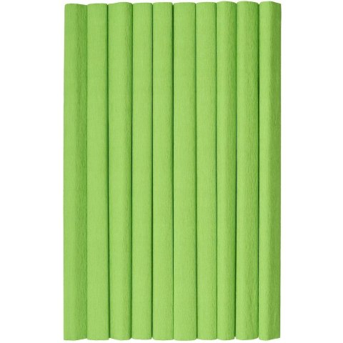 Bibuła marszczona CREATINIO 10 sztuk 50x200cm jasny zielony 400153920 TOP 2000