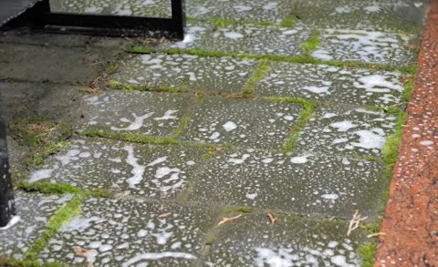 Płyn TENZI TOPEFEKT MOSS do usuwania mchów glonów grzybów z dachów i elewacji 5l. koncentrat (T-24/005) Płyn TENZI TOPEFEKT MOSS do usuwania mchów glonów grzybów z dachów i elewacji 5l. koncentrat (T-24/005)