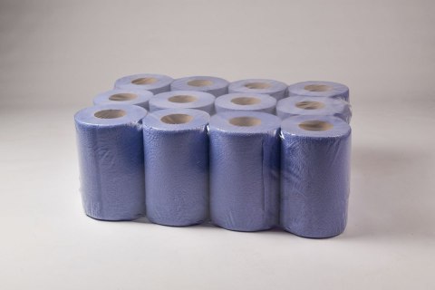 Ręcznik makulatura 19cm 50m 2w(12sztuk) niebieski RM50/2 MINI MISTRAL Ręcznik makulatura 19cm 50m 2w(12sztuk) niebieski RM50/2 MINI MISTRAL