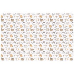 Podkład na biurko 58x38 z nadrukiem KITTENS NPB-02-35 BIURFOL