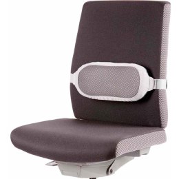 Podpórka pod plecy I-SPIRE 8042201 FELLOWES