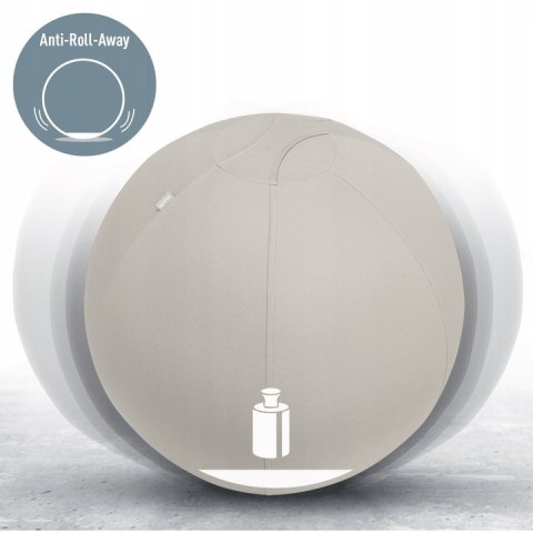 Zestaw Piłka do siedzenia ERGO 65cm jasno szara 65420085 + Podkładka pod mysz i nadgarstek ERGO jasn Zestaw Piłka do siedzenia ERGO 65cm jasno szara 65420085 + Podkładka pod mysz i nadgarstek ERGO jasn