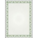 Dyplom A4 CYPRYS 170g (25ark) 211017 GALERIA PAPIERU