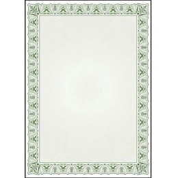 Dyplom A4 CYPRYS 170g (25ark) 211017 GALERIA PAPIERU