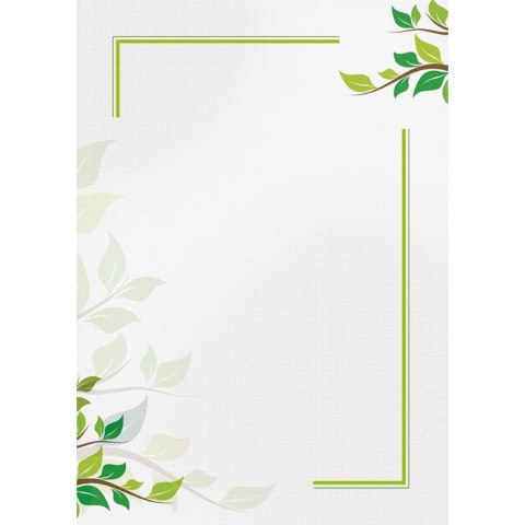 Dyplom A4 GREEN 170g (25ark) 218917 GALERIA PAPIERU Dyplom A4 GREEN 170g (25ark) 218917 GALERIA PAPIERU