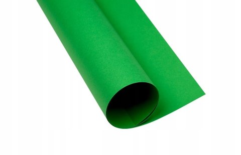 Karton kolorowy CREATINIO A2 160G (25 ark.) 68 zielony 400150193 TOP 2000 Karton kolorowy CREATINIO A2 160G (25 ark.) 68 zielony 400150193 TOP 2000