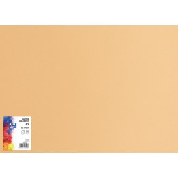 Karton kolorowy CREATINIO A3 160G (25 ark.) 16 jasnobrązowy 400150230 TOP 2000