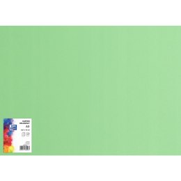 Karton kolorowy CREATINIO A3 160G (25 ark.) 69 groszkowy 400150239 TOP 2000
