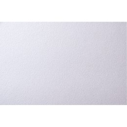 Karton wizytówkowy A4 skorupa srebrna 245g. W53 KRESKA
