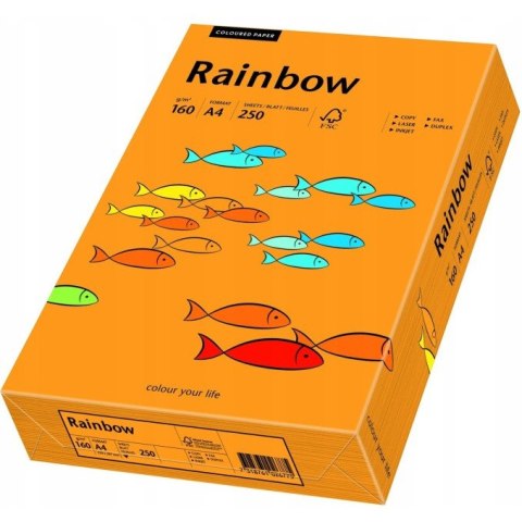 Papier ksero A4 160g RAINBOW R24 pomarańczowy 88042439 Papier ksero A4 160g RAINBOW R24 pomarańczowy 88042439