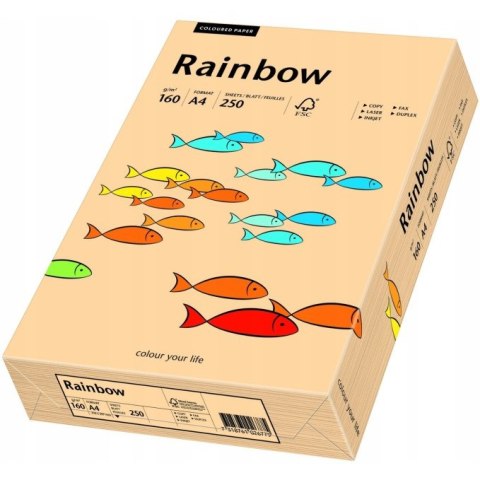 Papier ksero A4 160g RAINBOW R40 łososiowy 88042505 Papier ksero A4 160g RAINBOW R40 łososiowy 88042505