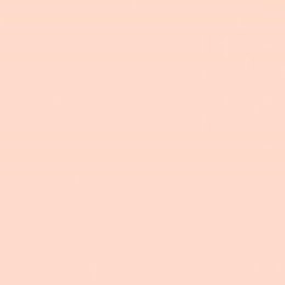 Papier ksero A4 80g TROPHEE XCA41769 pastelowy łososiowy CLAIREFONTAINE