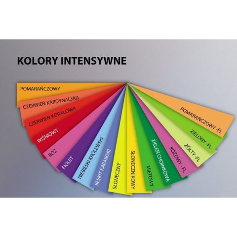 Papier ksero A4 80g TROPHEE zielony fluo 2975 500ark Papier ksero A4 80g TROPHEE zielony fluo 2975 500ark