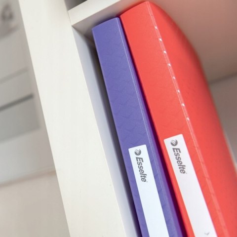 Album ofertowy Esselte Colour`Breeze z 80 koszulkami koralowy 628445 Album ofertowy Esselte Colour`Breeze z 80 koszulkami koralowy 628445