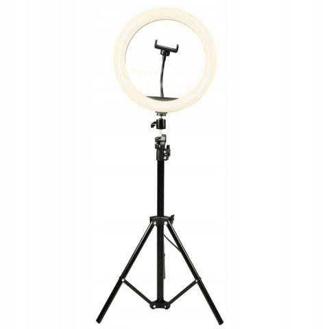 Statyw + lampa led ring 30cm + uchwyt na telefon (RLT-1201) DENVER Statyw + lampa led ring 30cm + uchwyt na telefon (RLT-1201) DENVER