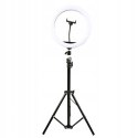 Statyw + lampa led ring 30cm + uchwyt na telefon (RLT-1201) DENVER