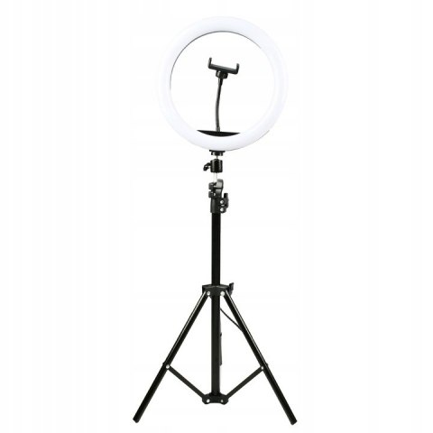 Statyw + lampa led ring 30cm + uchwyt na telefon (RLT-1201) DENVER Statyw + lampa led ring 30cm + uchwyt na telefon (RLT-1201) DENVER