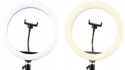 Statyw + lampa led ring 30cm + uchwyt na telefon (RLT-1201) DENVER Statyw + lampa led ring 30cm + uchwyt na telefon (RLT-1201) DENVER