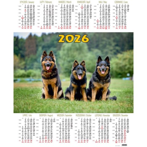 Kalendarz jednoplanszowy P11 PSY BESKIDY