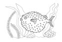 Kolorowanki B5, galeria 5 GAL-103