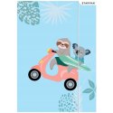Teczka z gumką A4 KOALA 536503 STARPAK