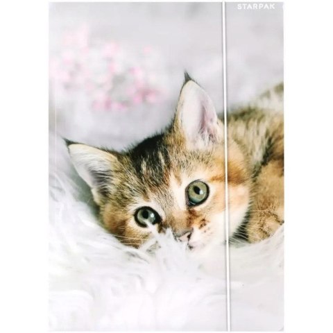 Teczka z gumką A4 KOTKI 559717 STARPAK