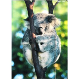Teczka z gumką A4 WILD ANIMAL KOALA 559730 STARPAK