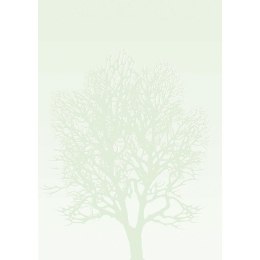 Arkusze barwne A4 DRZEWO 100g. (50ark. ) 230410 Galeria Papieru