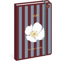 Kalendarz książkowy 2026 A5 192 Metallic Tutto INTERDRUK